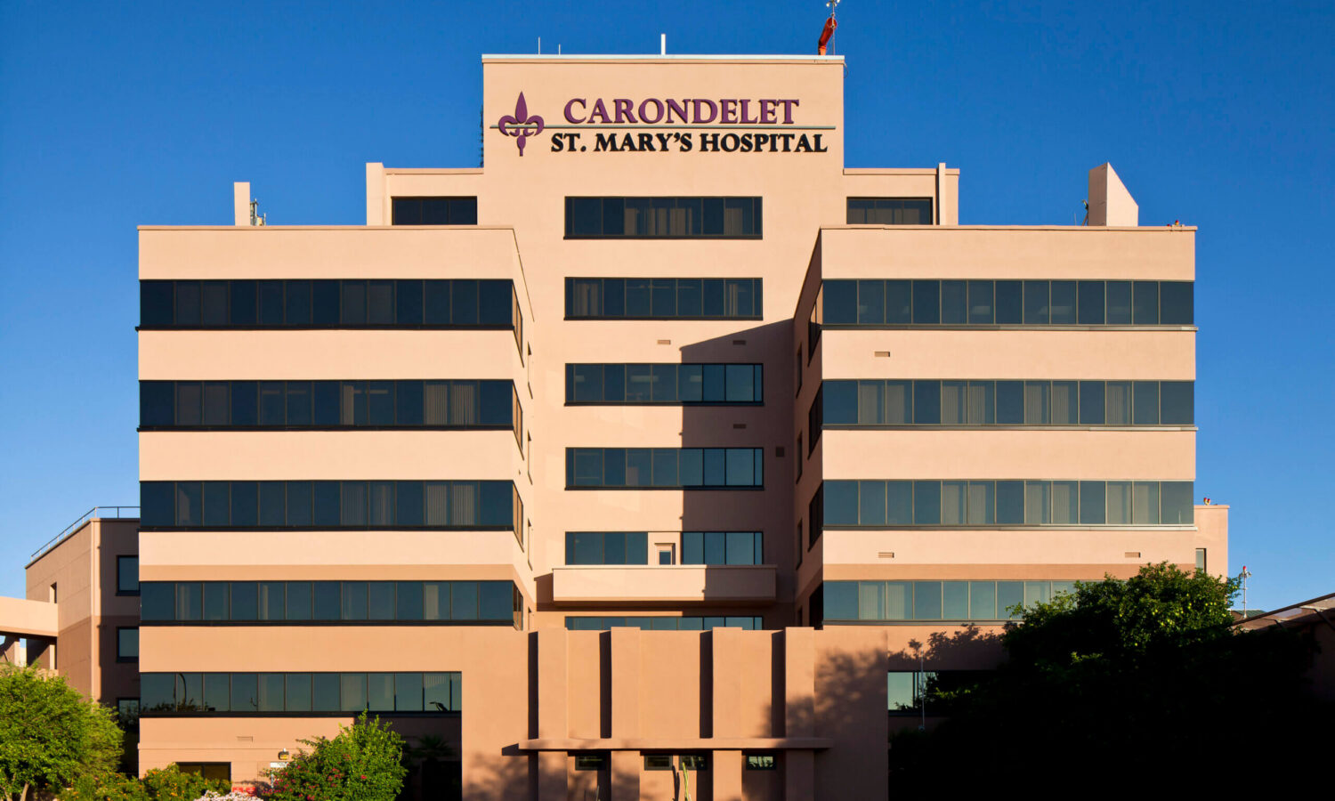 Arizona | cellnetix